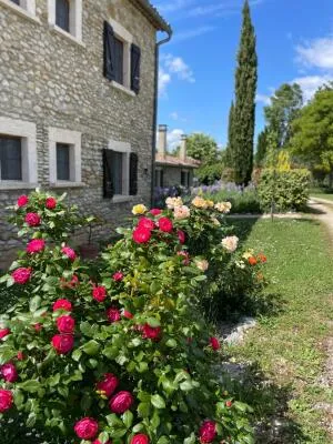 Fonds et/ou Murs Commerciaux à Chabrillan — vignette 156