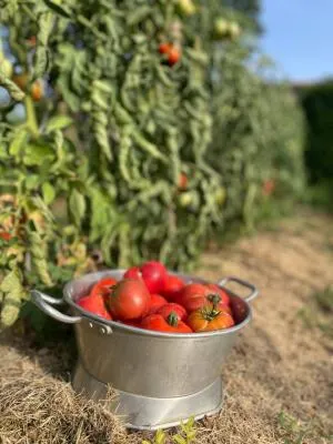 Fonds et/ou Murs Commerciaux à Chabrillan — vignette 161