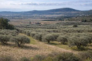 Bien Agricole à Le Castellet — vignette 2