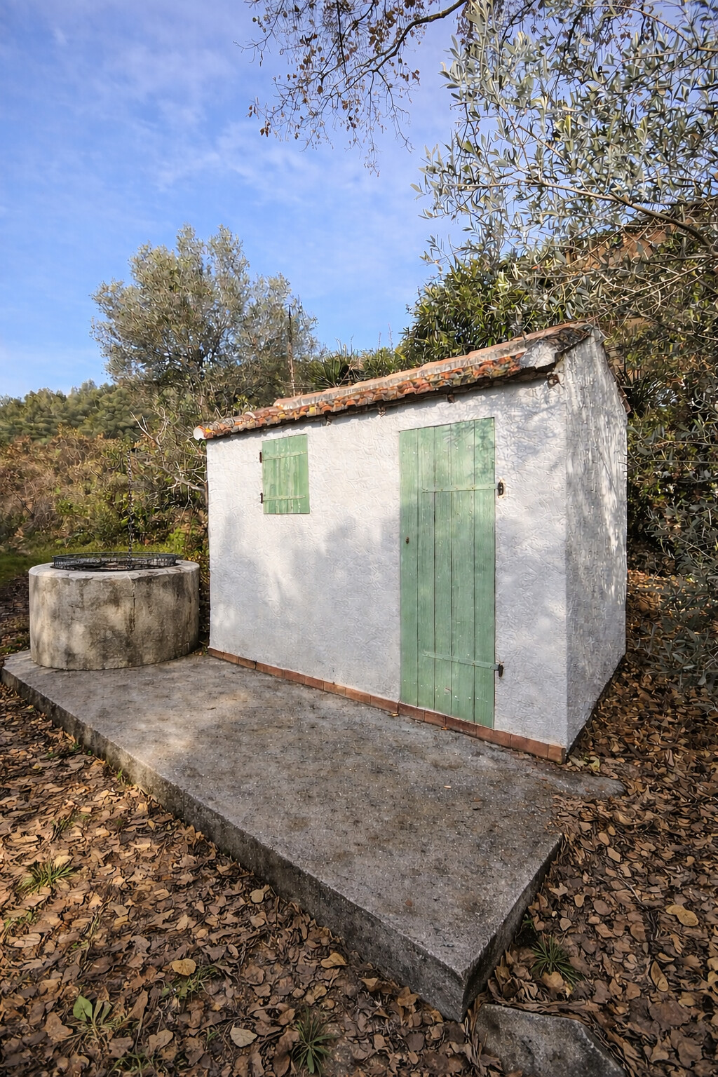 Oliveraie de caractère - 1 hectare - Zone AOP Bandol - Le Castellet image 3