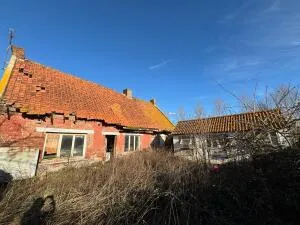 Maison à vendre + HANGAR