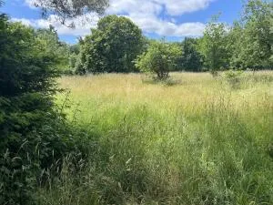 Terrain à Bâtir à Mervent — vignette 6