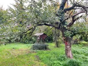 Maison à Chizé — vignette 3