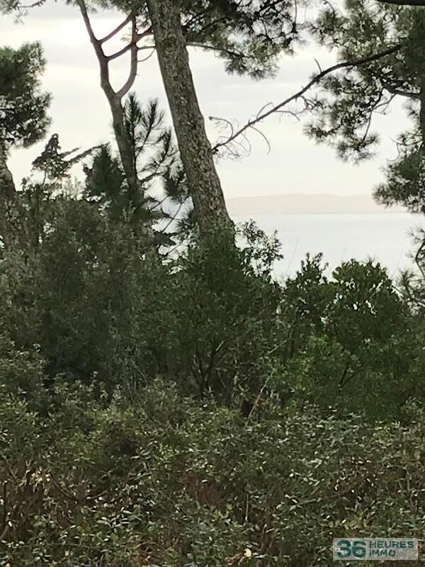 BASSIN d'ARCACHON - L'HERBE- CAP FERRET - VILLA VUE BASSIN