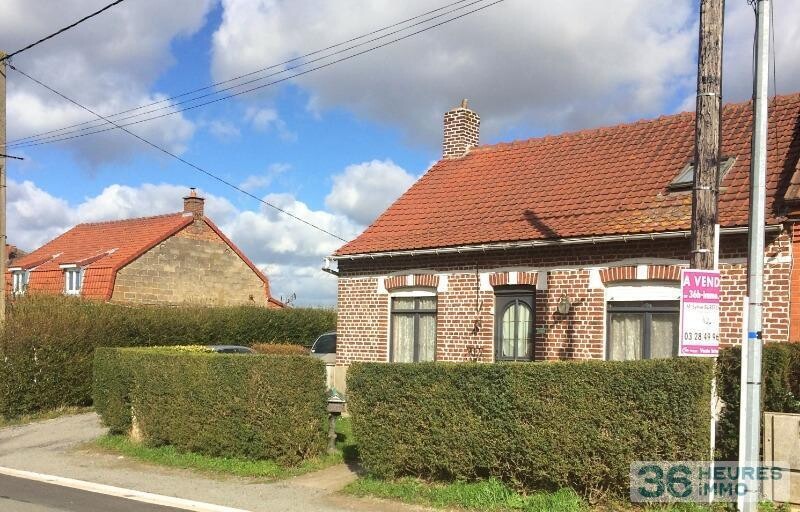 Belle flamande semi-individuelle