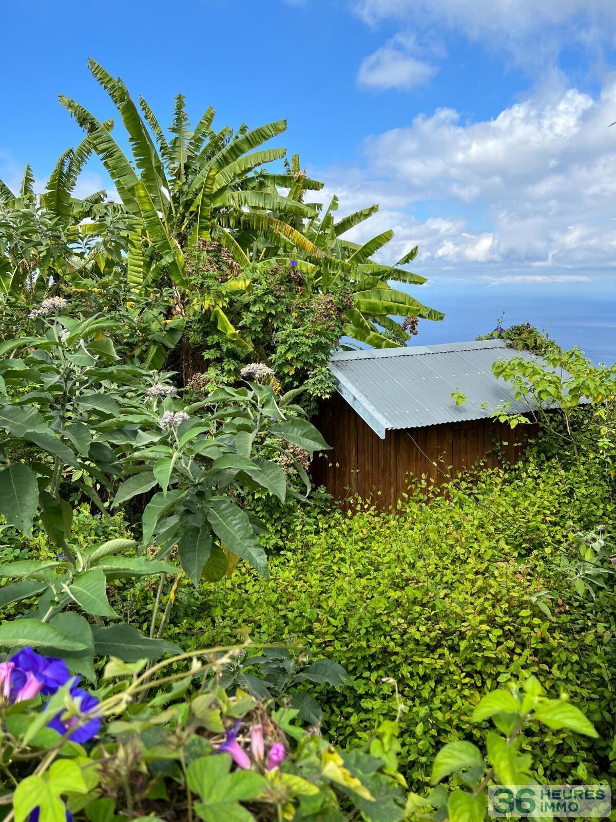 La chaloupe saint-leu vente aux enchères (vente notariale interactive) maison forestière de l'onf