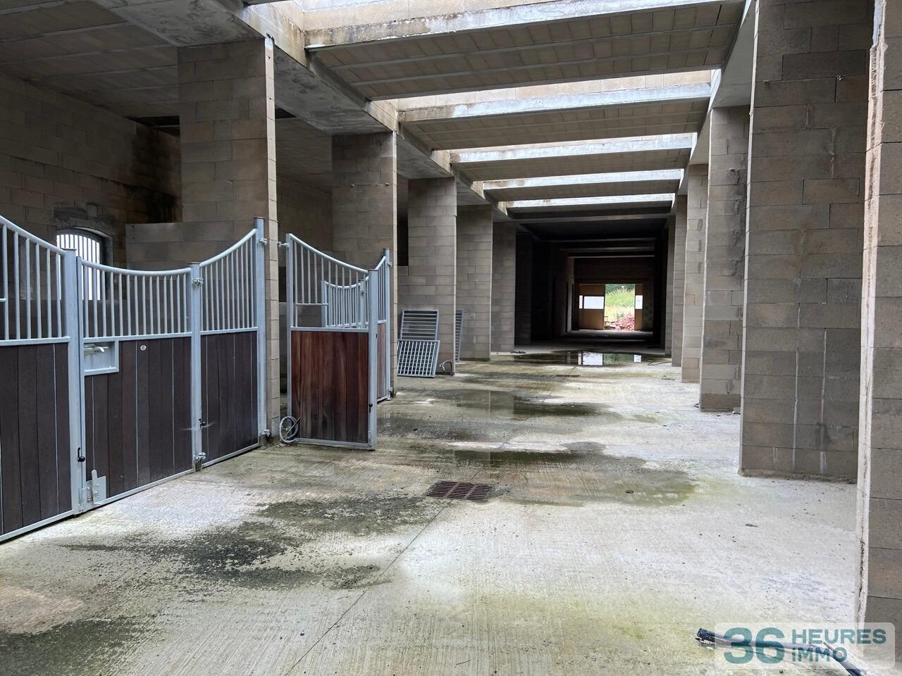 HARAS EQUESTRE