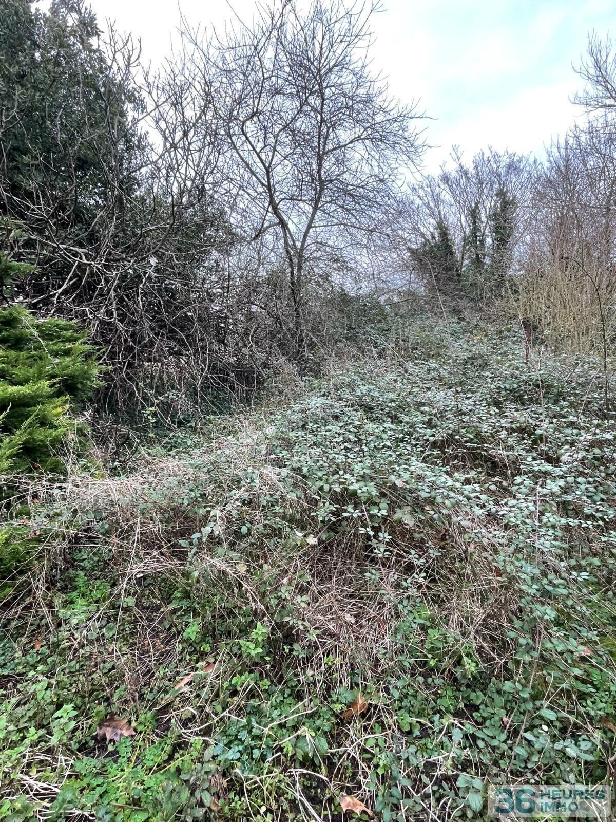 Maison + terrain d'environ 2800 m2 - Breuillet