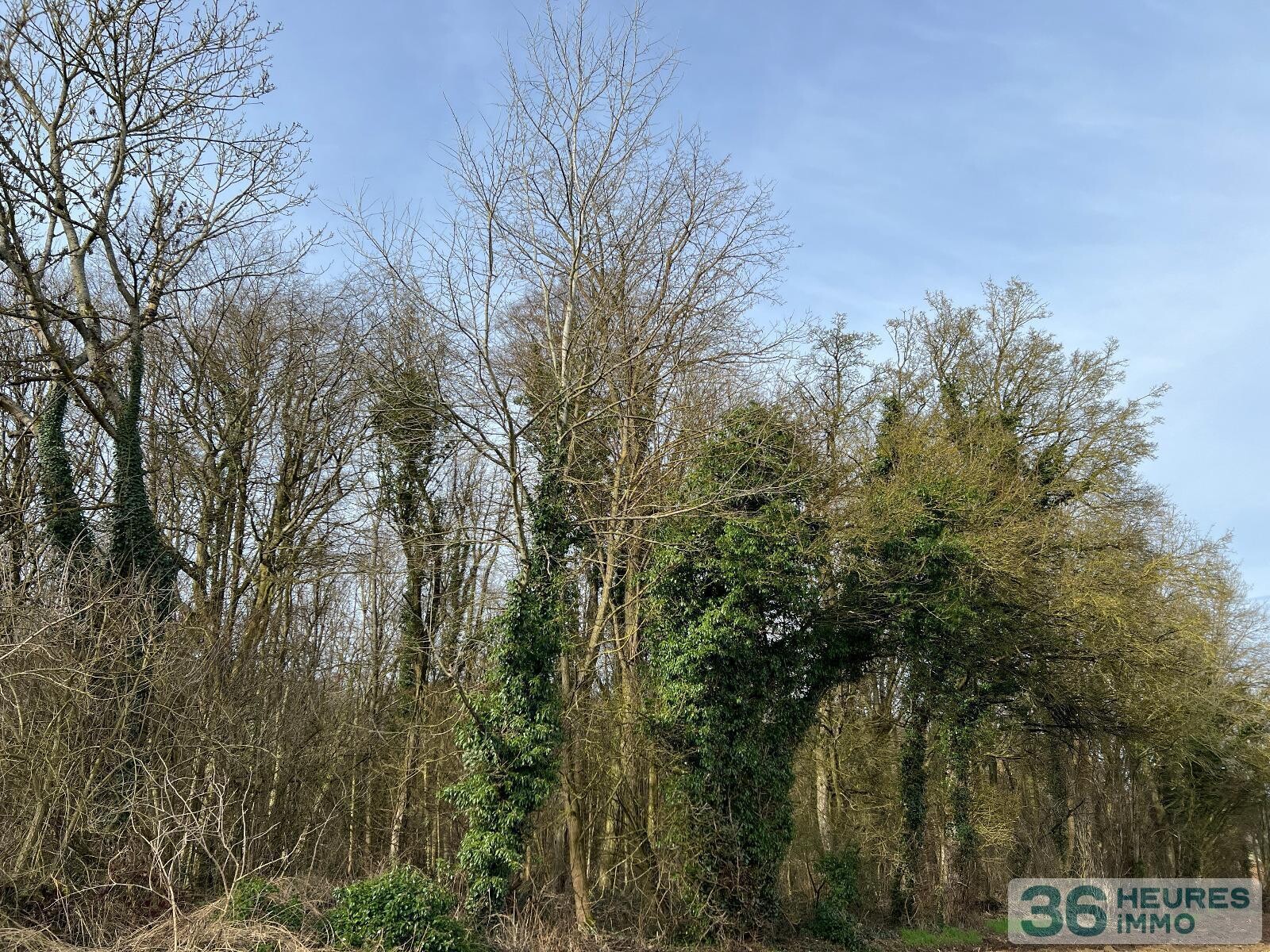 PARCELLES BOISÉES