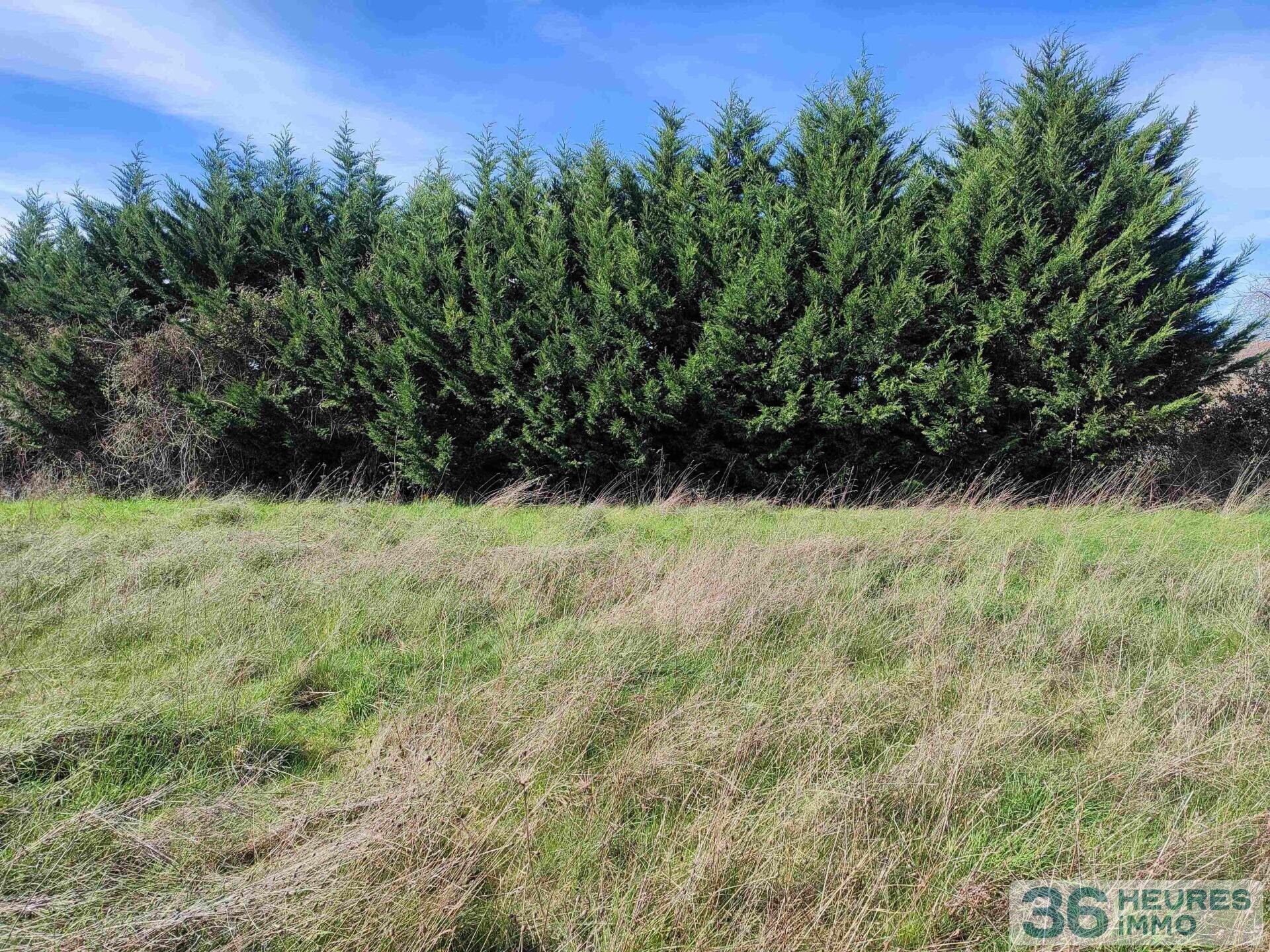 Terrain constructible 1374 m²