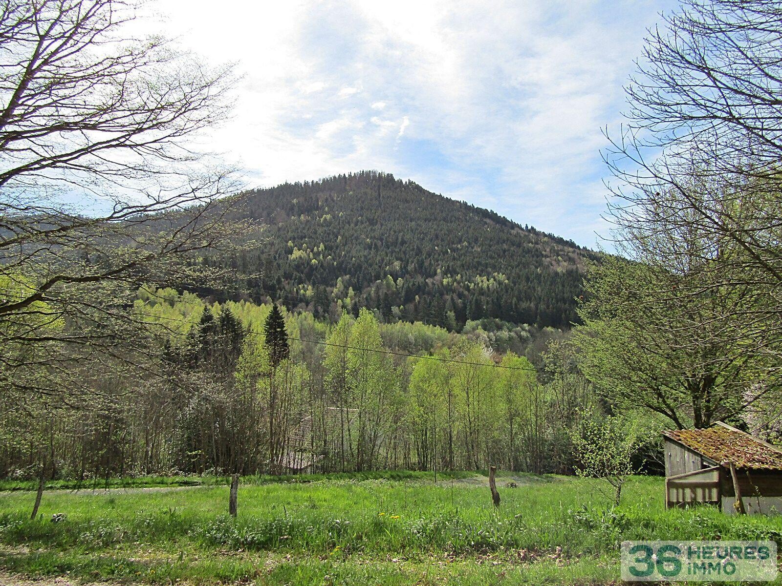 MAISON FORESTIERE
