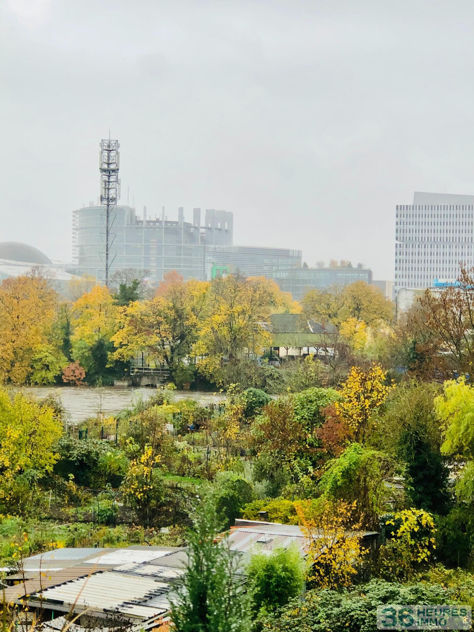 Appartement F3 à Schiltigheim