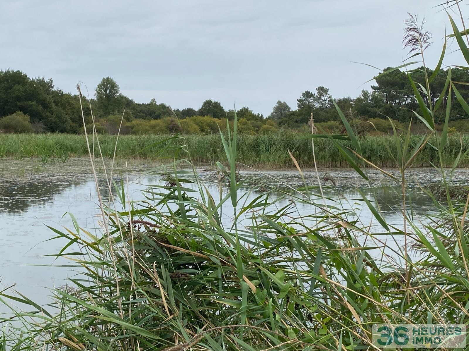 Propriété de chasse en Brenne