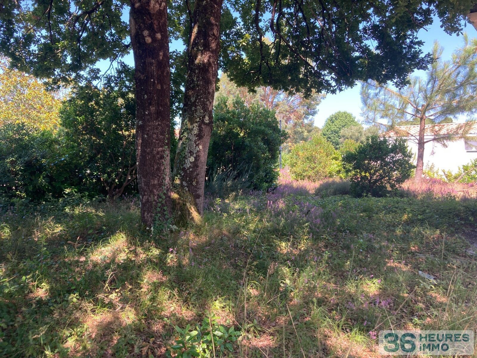 Maison LA TESTE-DE-BUCH