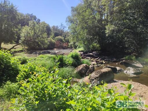 Ancien moulin à Persac (86320)