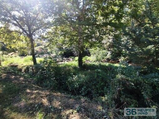 Ancien moulin à Persac (86320)