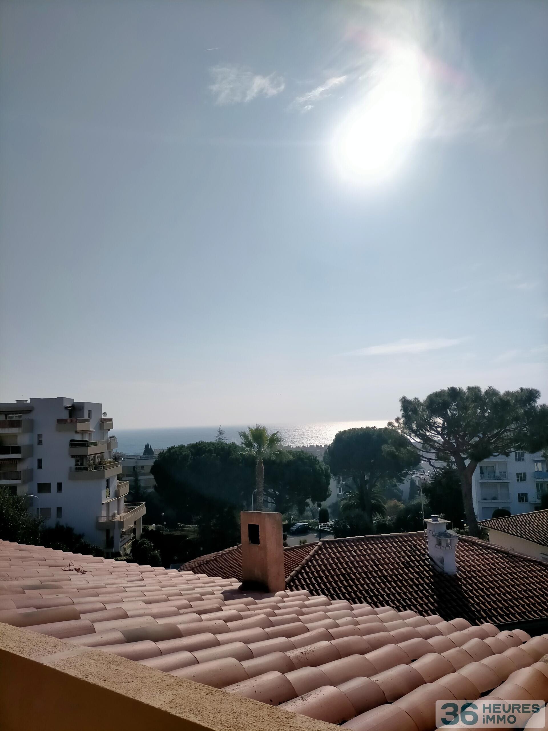 Villa Adonis 1 Nice