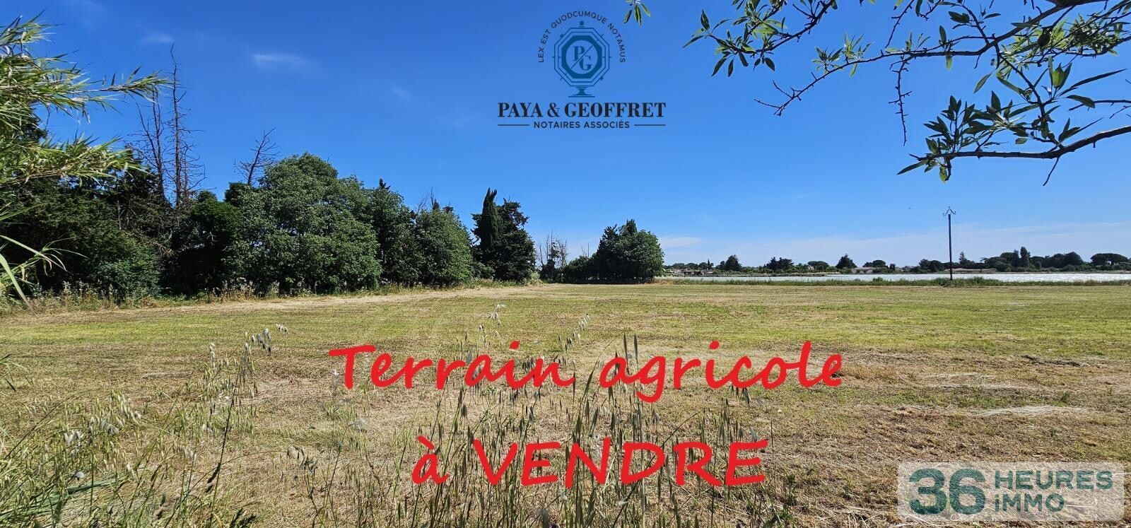 Terrain agricole de 9770m² à LUNEL 