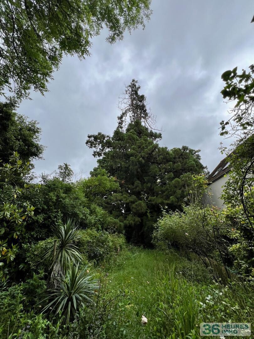 Belle maison ancienne avec terrain de 1400 m2