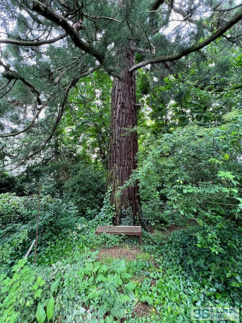Belle maison ancienne avec terrain de 1400 m2