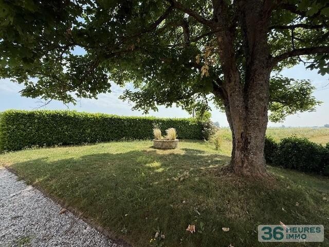 ST EMILION - Exploitation Viticole 26ha 16a 85ca