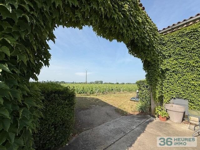 ST EMILION - Exploitation Viticole 26ha 16a 85ca