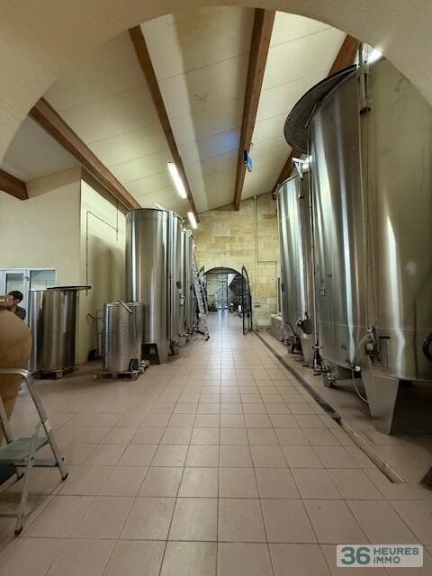 ST EMILION - Exploitation Viticole 26ha 16a 85ca