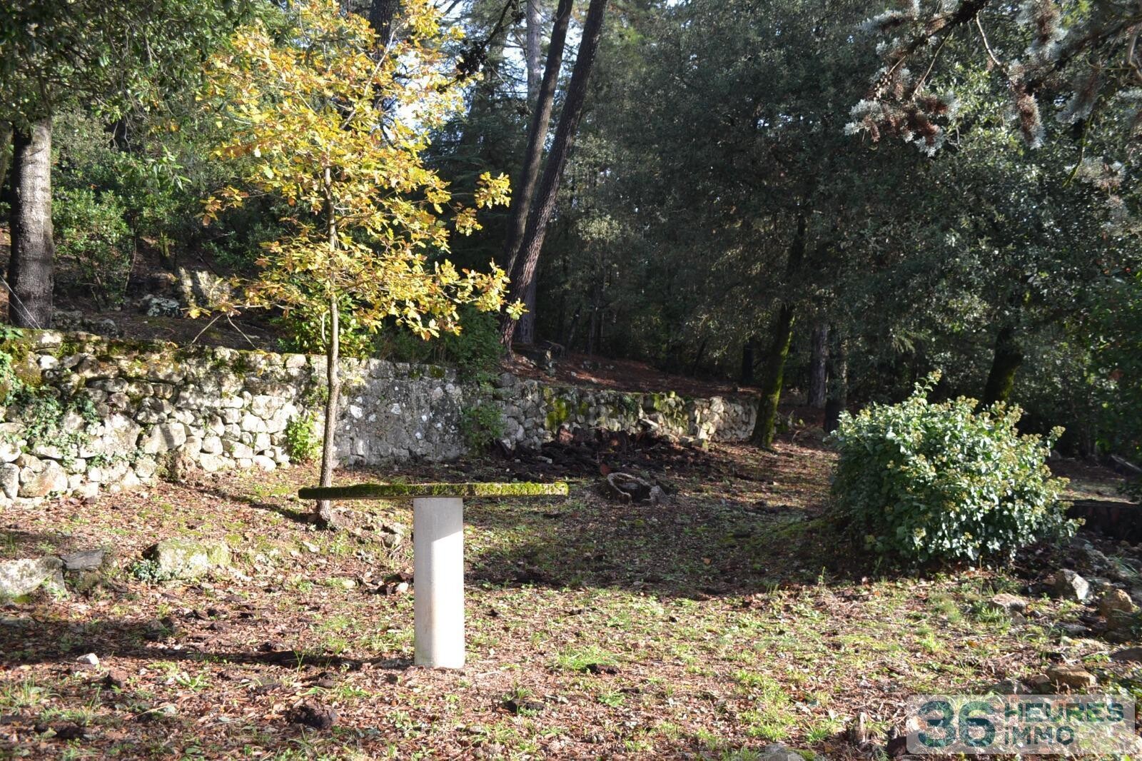 Maison individuelle avec terrain attenant