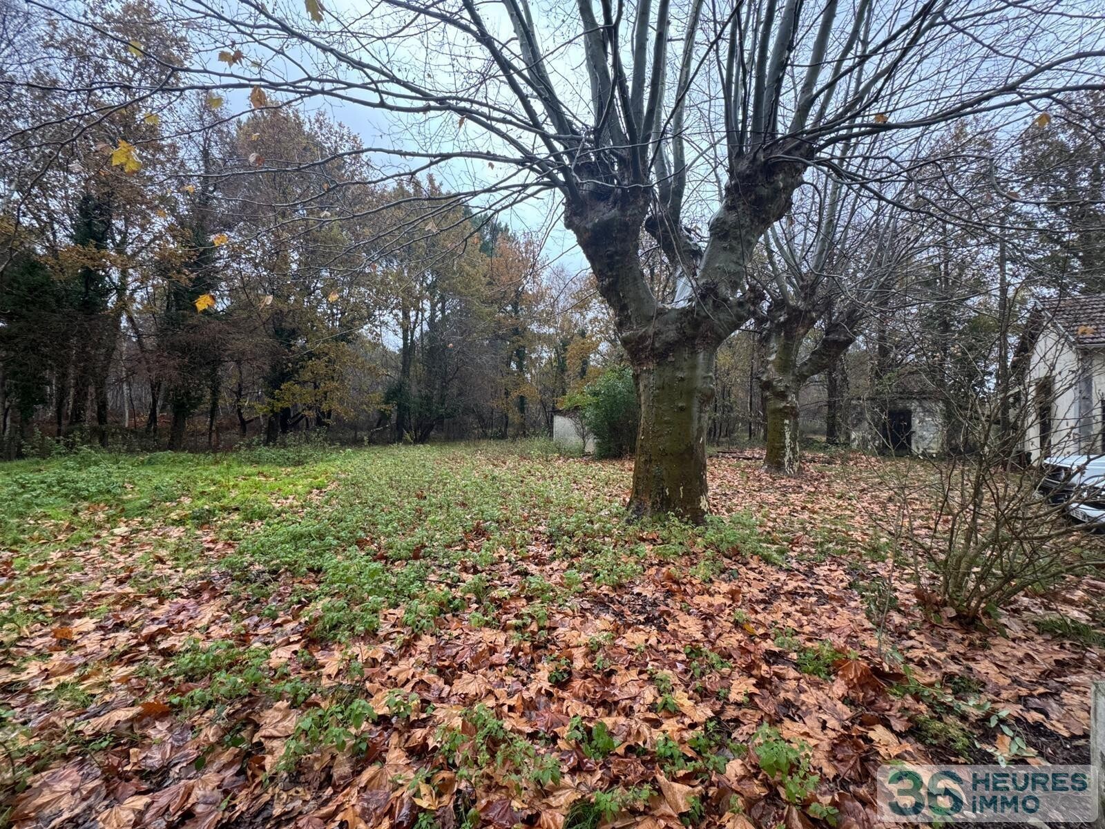 Maison forestière Louley à HOURTIN-33990 Route de Contaut 