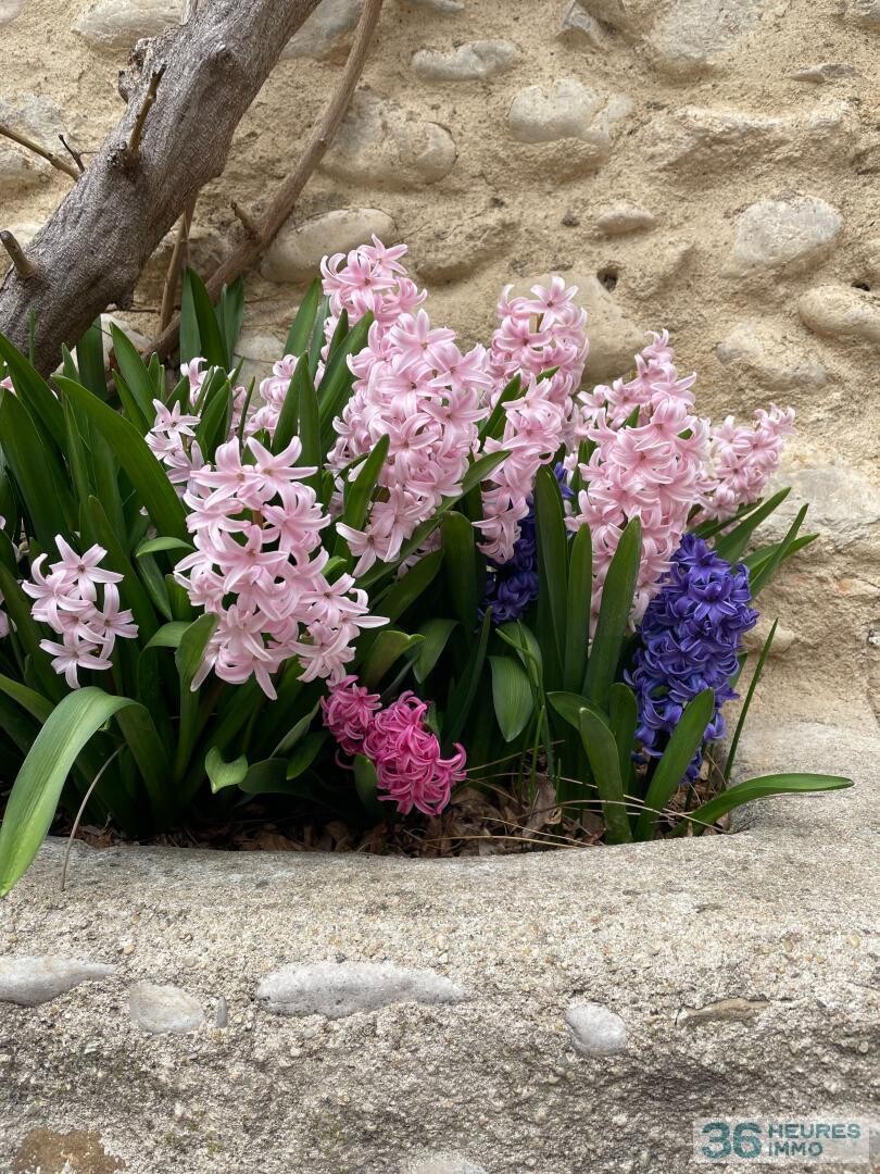 DOMAINE HOTEL RESTAURANT DROME