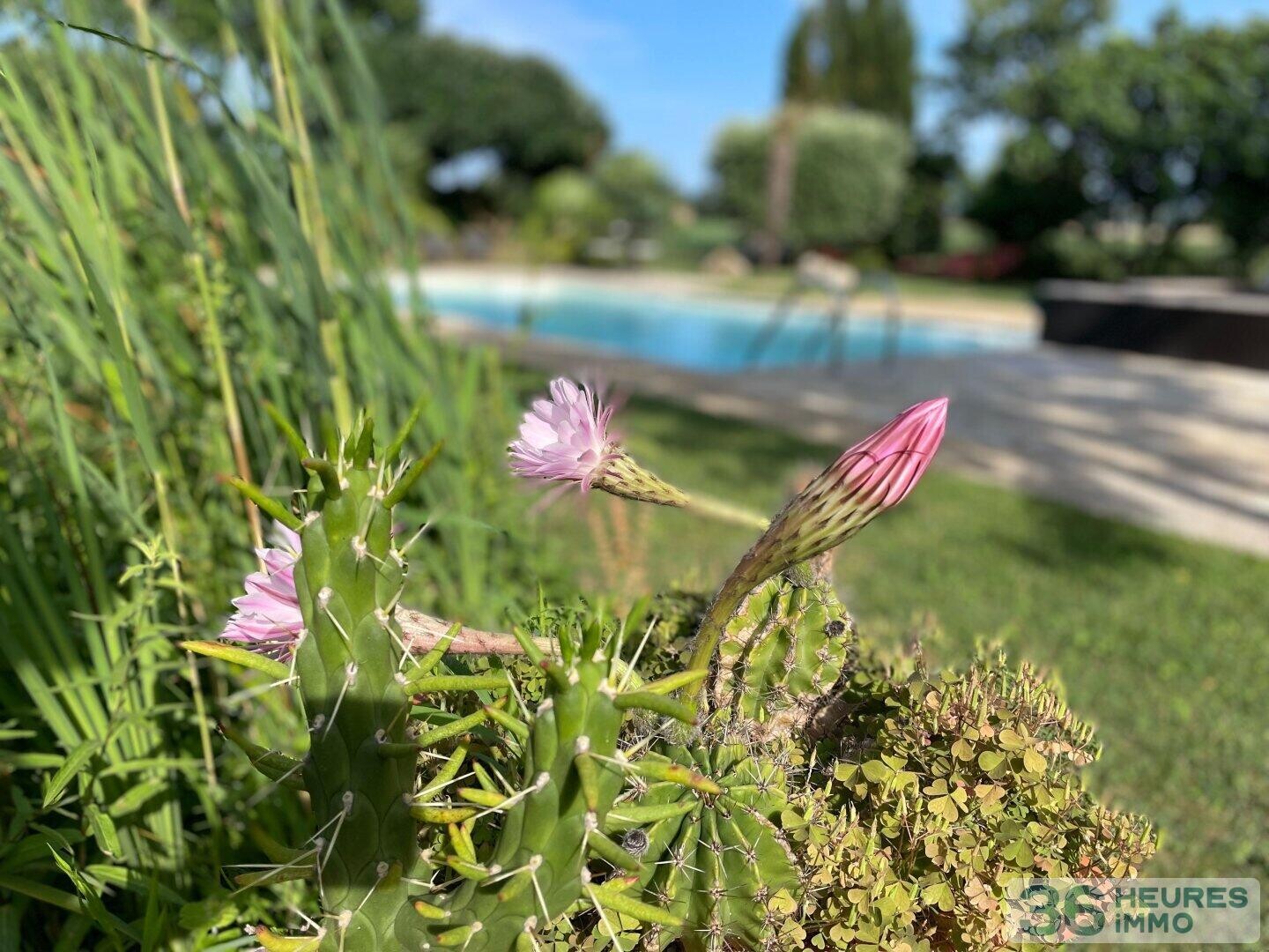 DOMAINE HOTEL RESTAURANT DROME