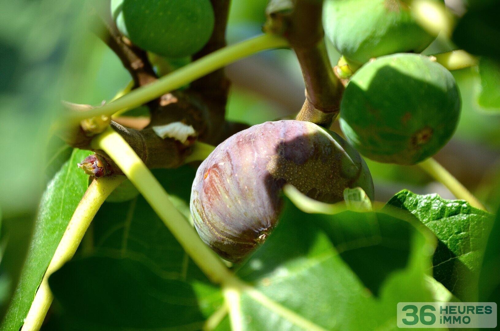 DOMAINE HOTEL RESTAURANT DROME