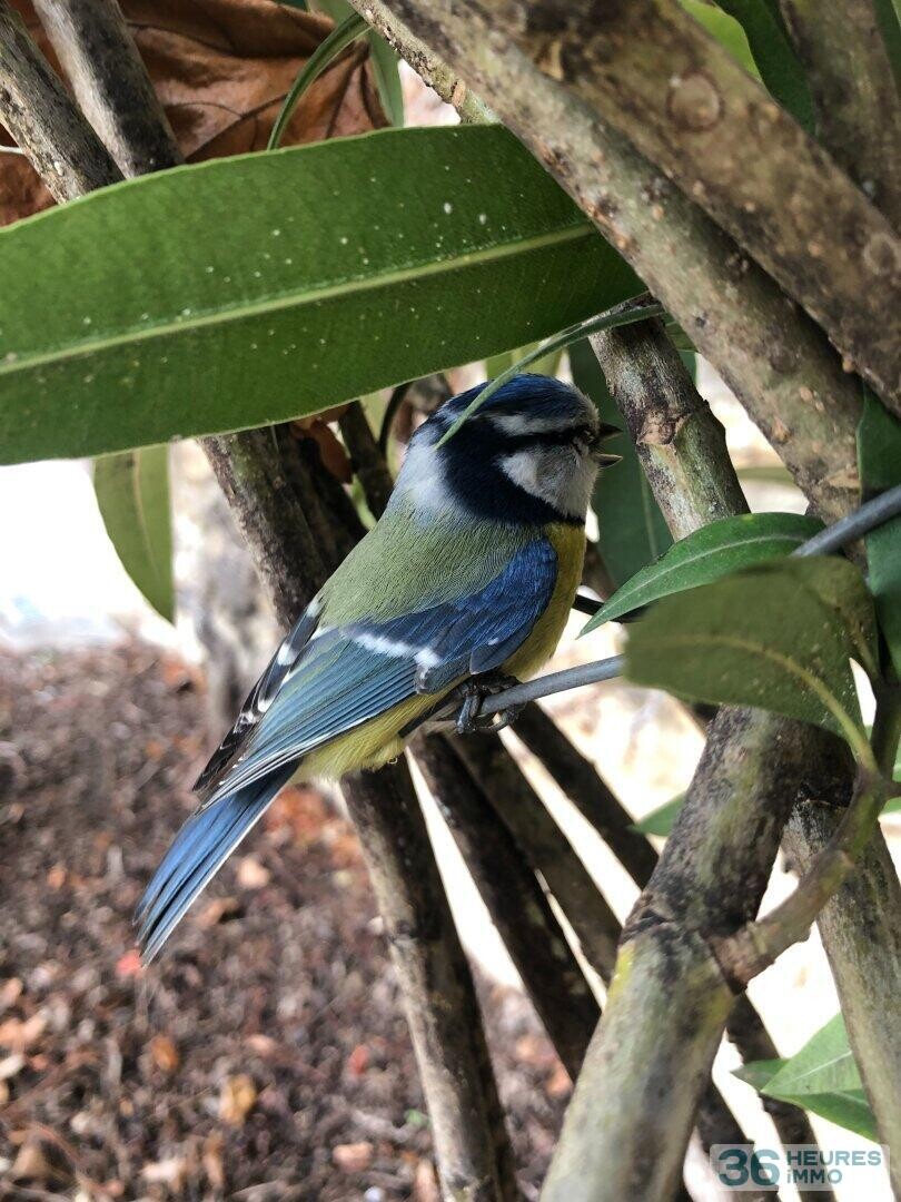 DOMAINE HOTEL RESTAURANT DROME