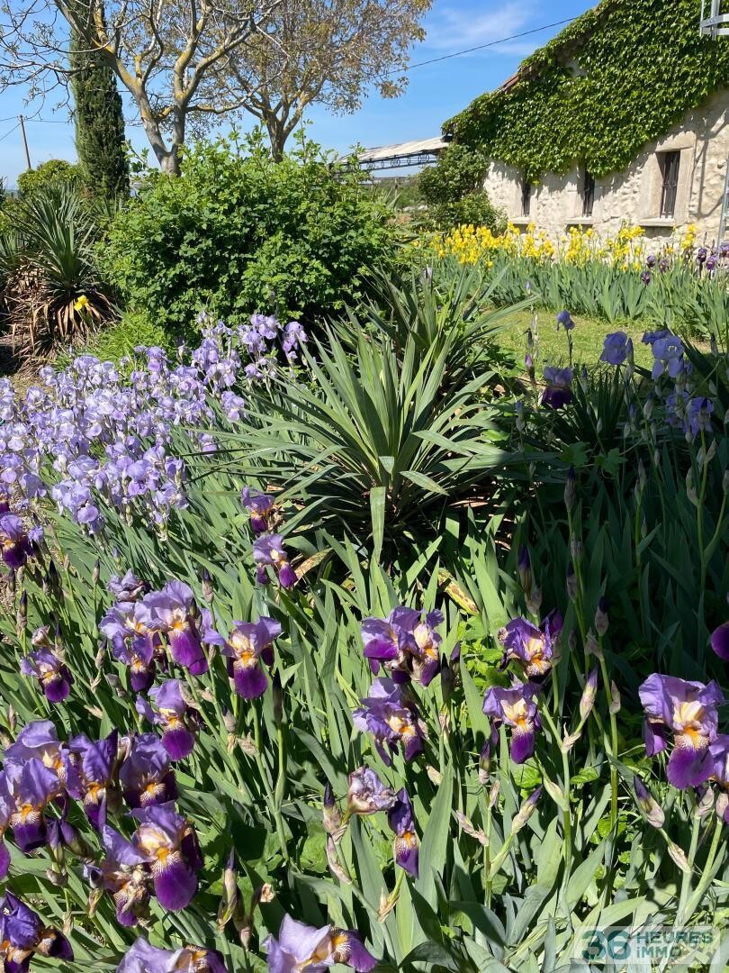 DOMAINE HOTEL RESTAURANT DROME