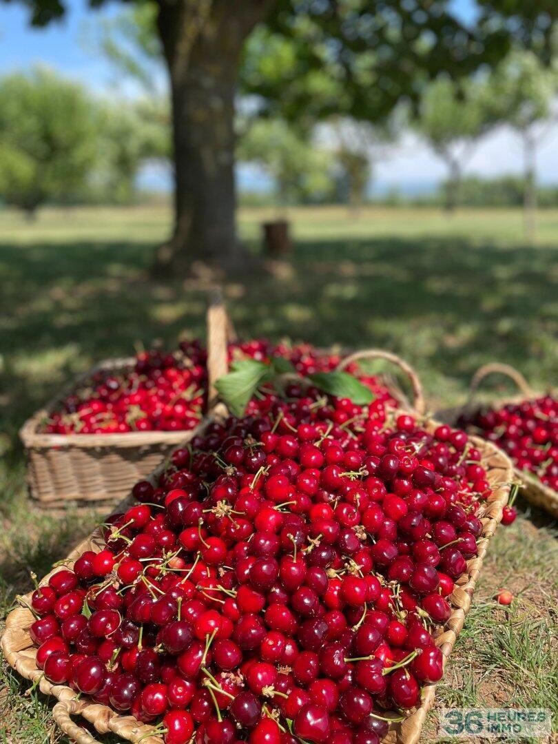 DOMAINE HOTEL RESTAURANT DROME