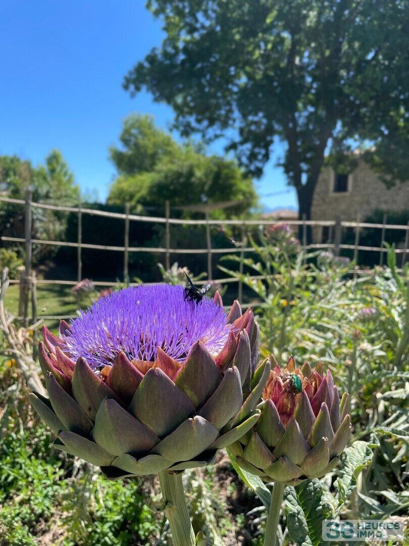 DOMAINE HOTEL RESTAURANT DROME