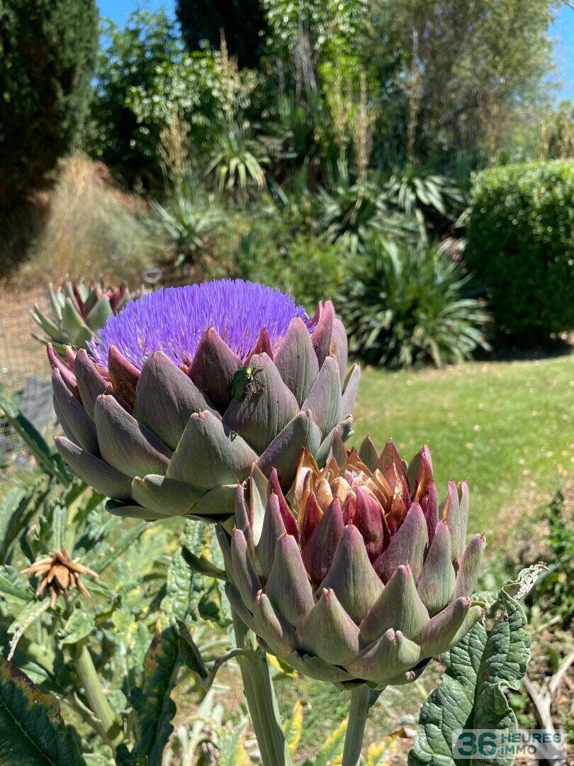 DOMAINE HOTEL RESTAURANT DROME