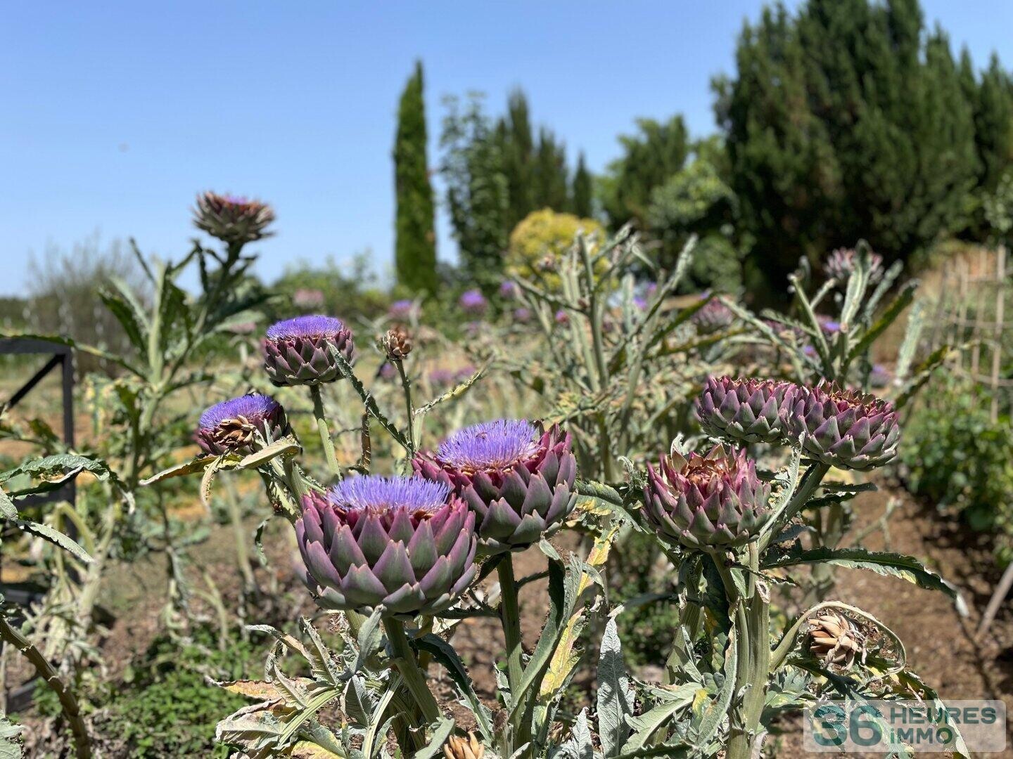 DOMAINE HOTEL RESTAURANT DROME