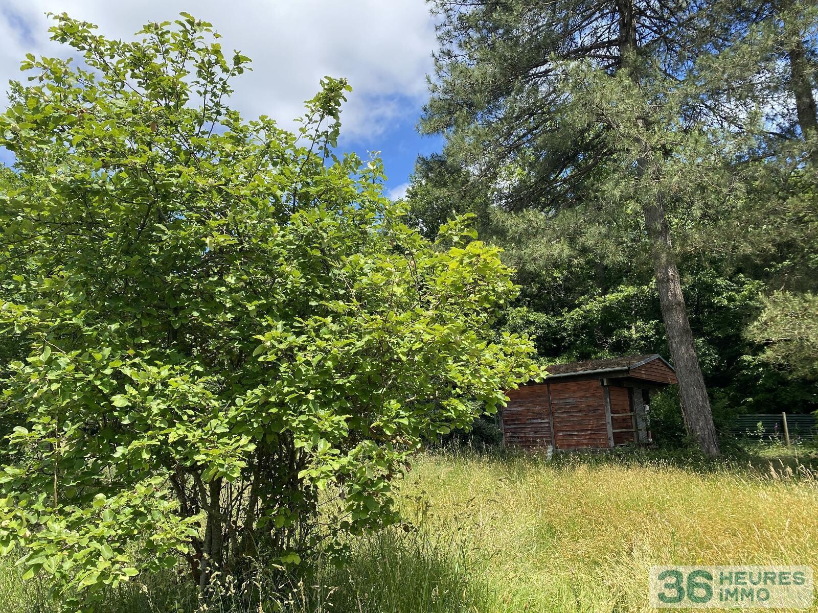 Terrain boisé de 1880m2 avec chalet en bois et ancien hangar ouvert