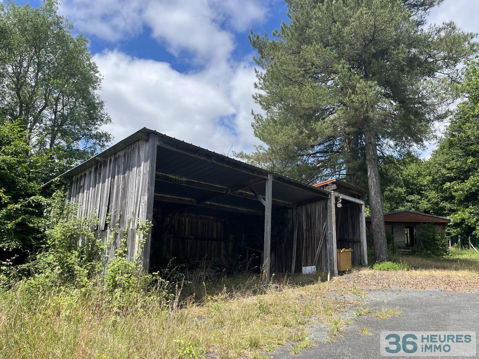 Terrain boisé de 1880m2 avec chalet en bois et ancien hangar ouvert