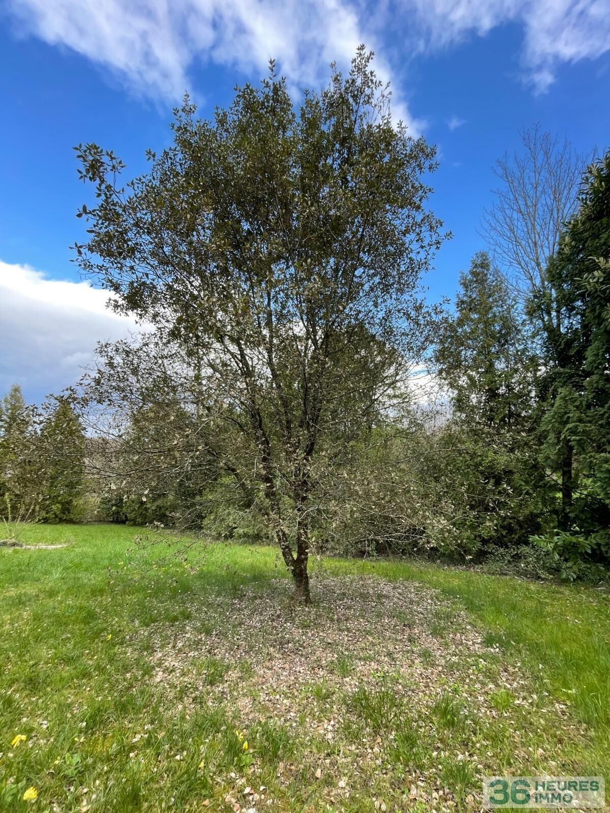Maison de style provencal avec garage, piscine et vaste terrain