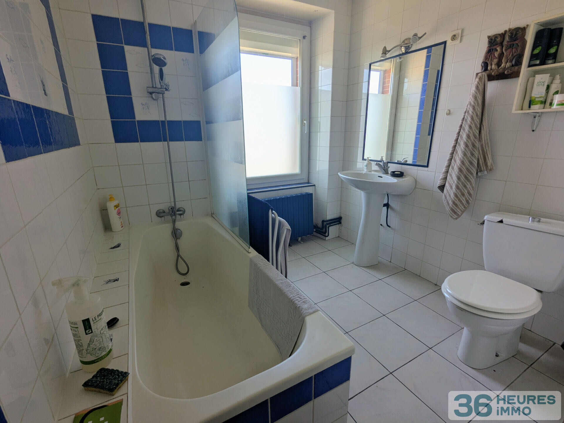 Maison de bourg et terrain non attenant de 5595m2