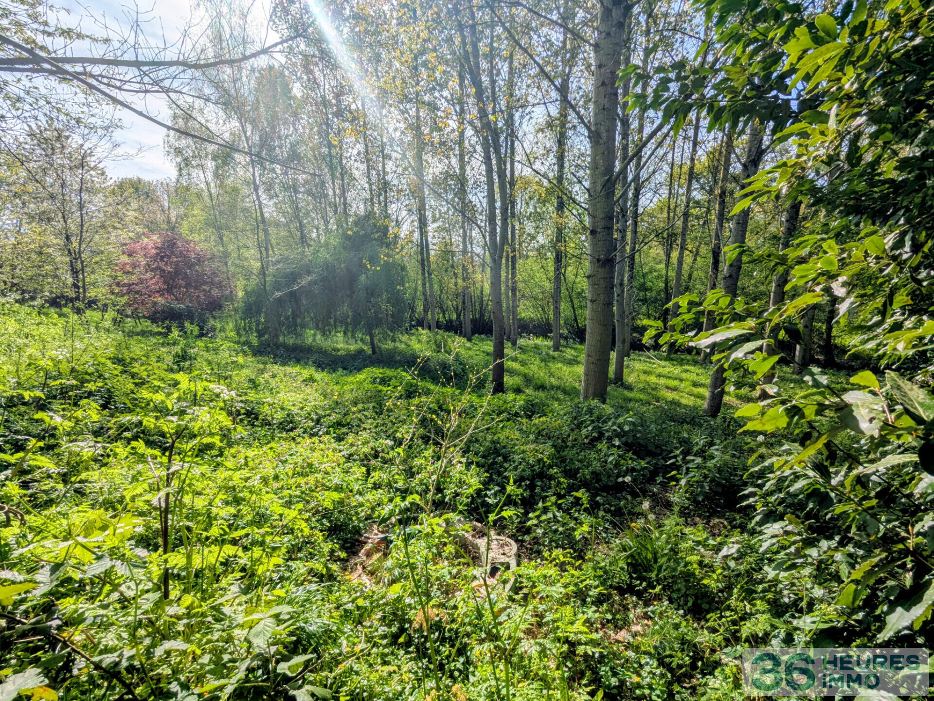 Maison de bourg et terrain non attenant de 5595m2
