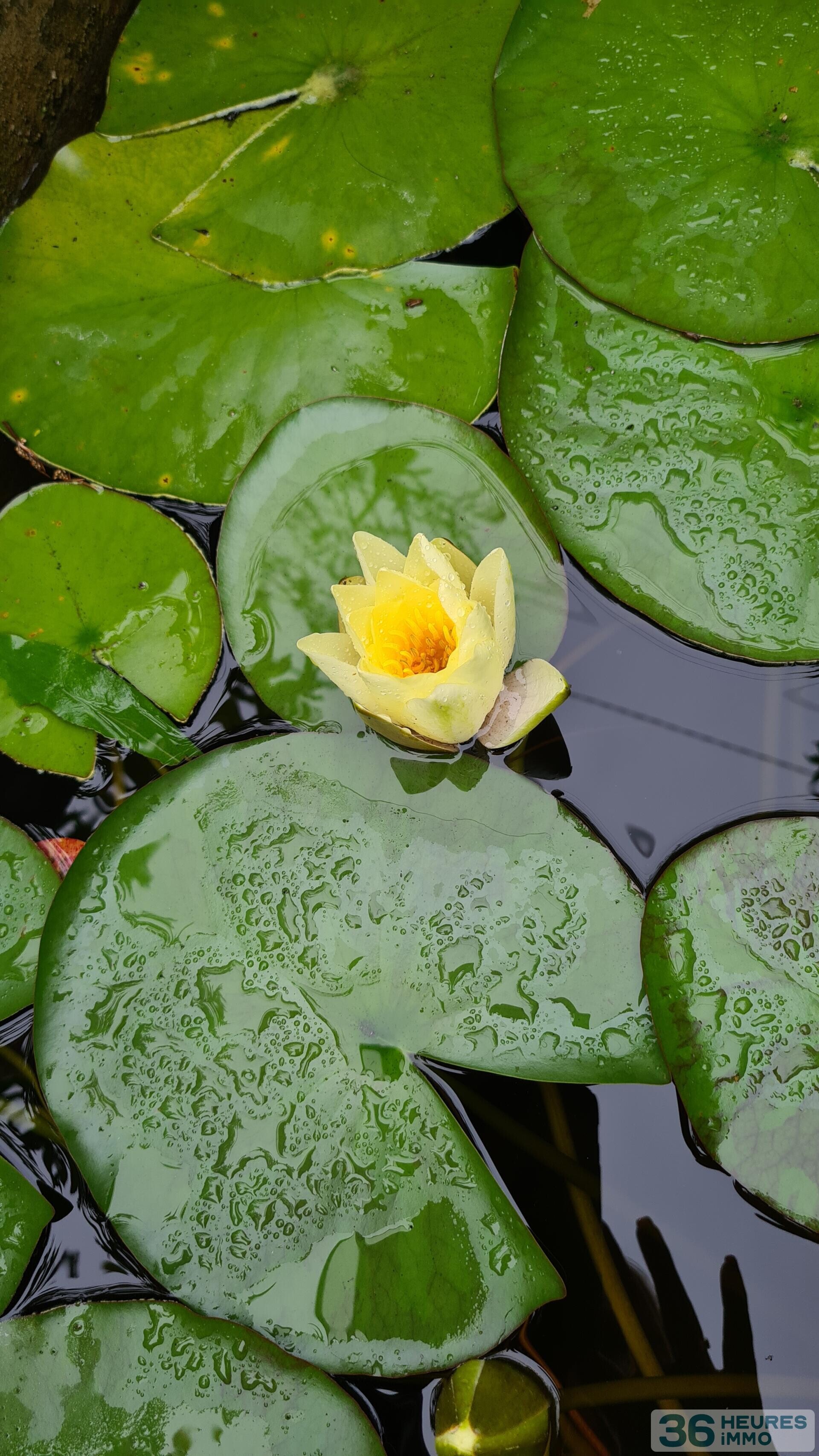 VOTRE HAVRE DE PAIX À FONTENAY-LES-BRIIS