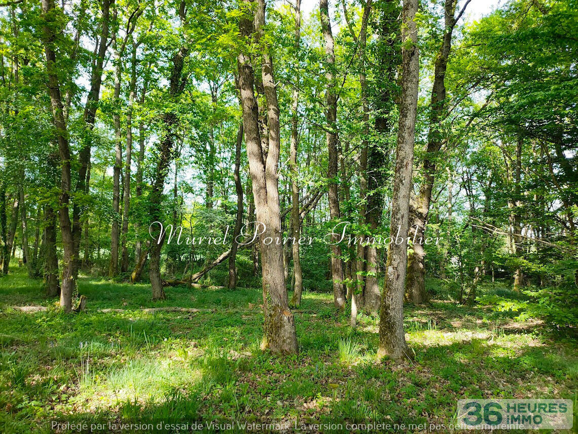 Maison contemporaine 2021 – Plain-pied – Calme – Vue sur le bois