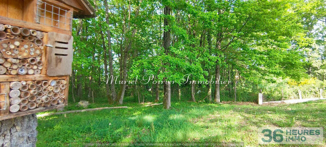 Maison contemporaine 2021 – Plain-pied – Calme – Vue sur le bois