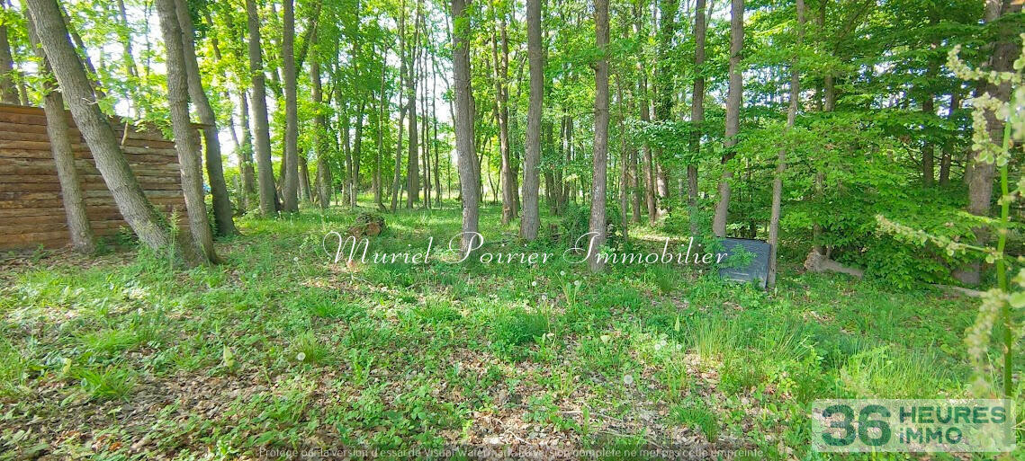 Maison contemporaine 2021 – Plain-pied – Calme – Vue sur le bois