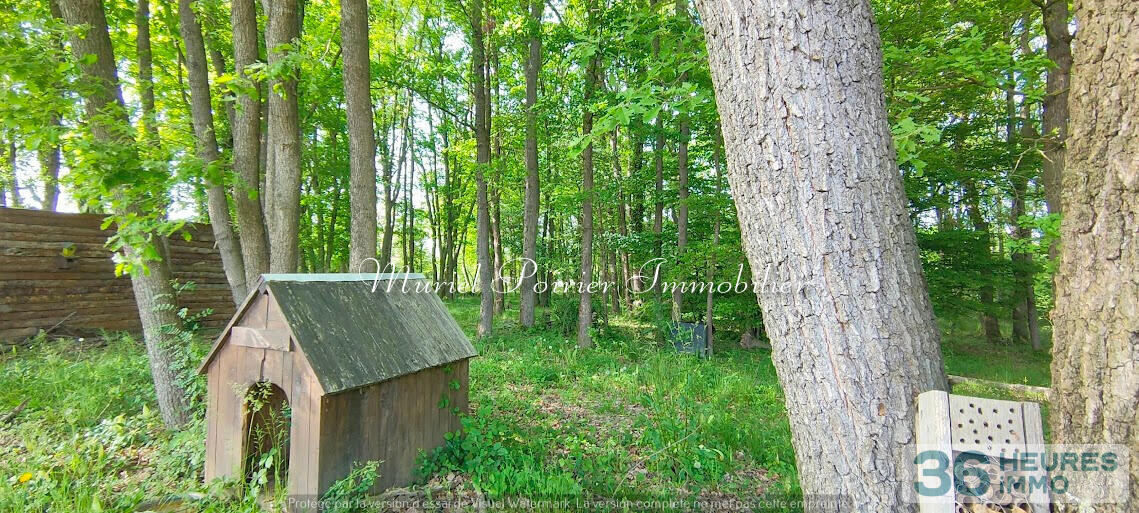 Maison contemporaine 2021 – Plain-pied – Calme – Vue sur le bois