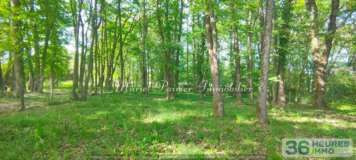 Maison contemporaine 2021 – Plain-pied – Calme – Vue sur le bois