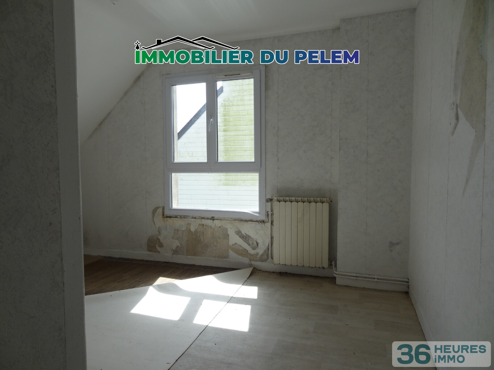 Projet de rénovation : maison familiale avec jardin et sous-sol